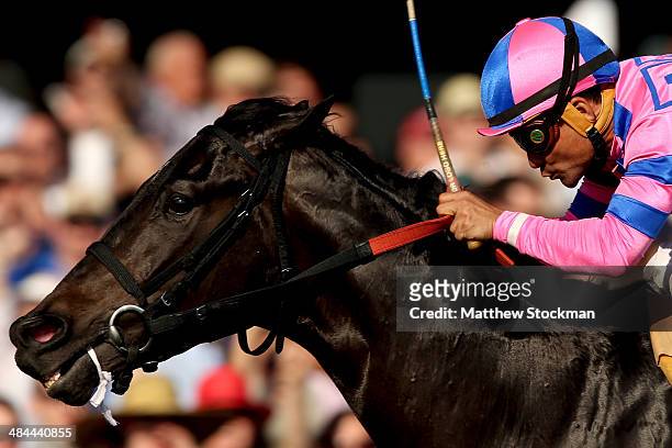 Dance With Fate, ridden by Corey Nakatani, wins the Toyota Blue Grass Stakes at Keeneland Race Course on April 12, 2014 in Lexington, Kentucky.