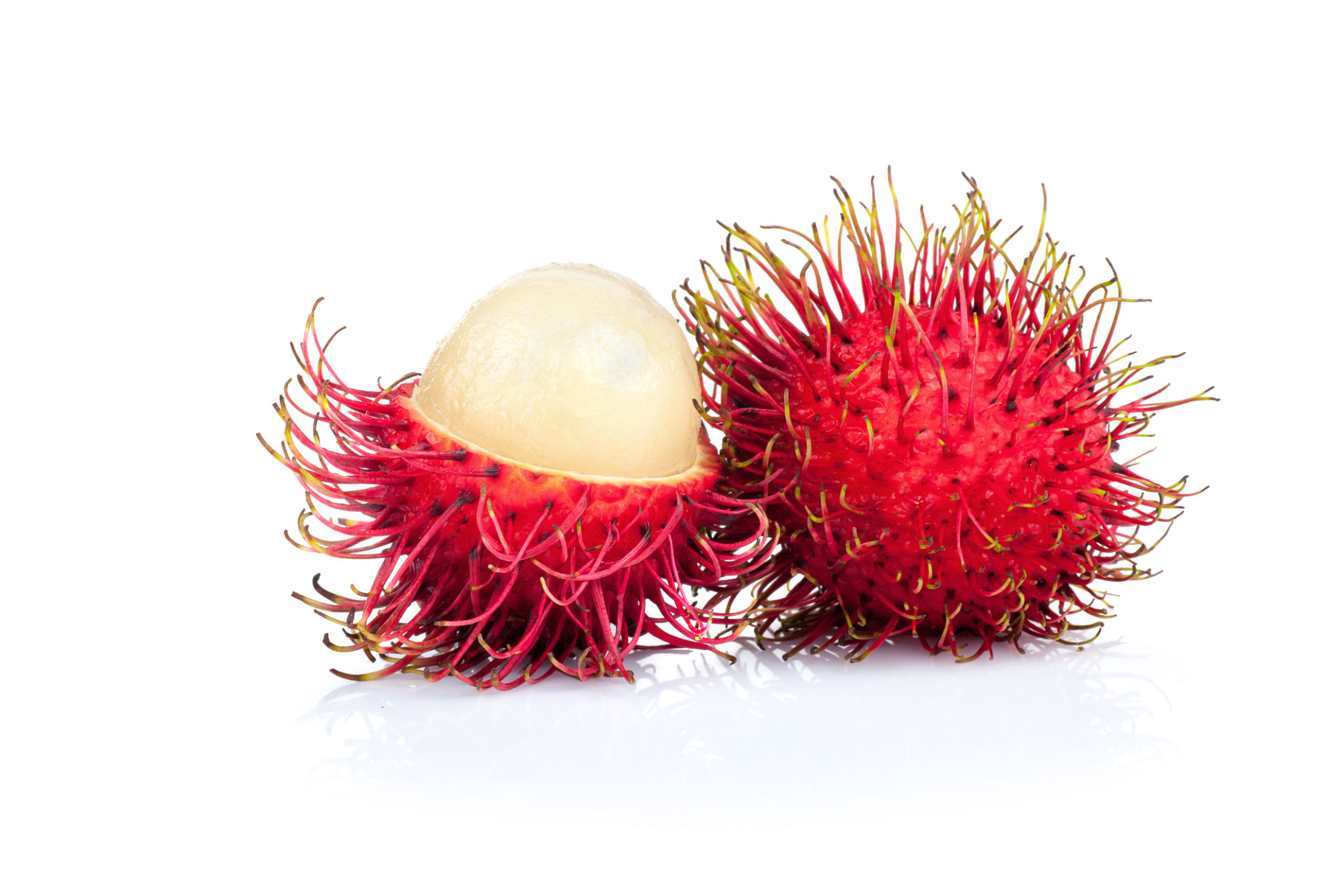 rambutan fruit