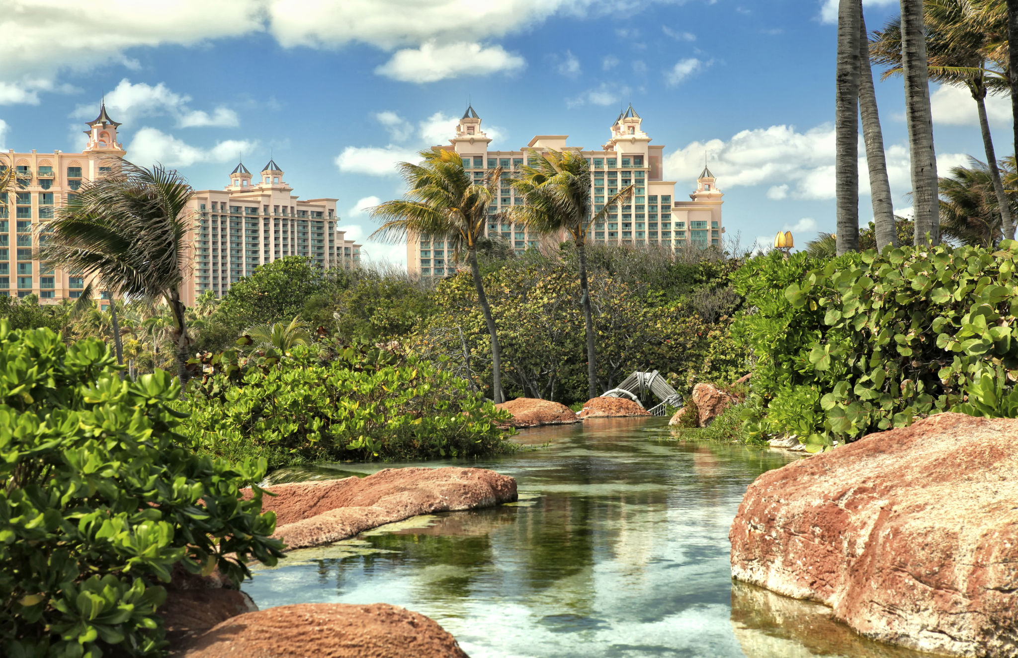 paradise island