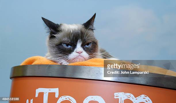 Grumpy Cat is presented to the press during Friskies Create & Taste Kitchen Press Preview on August 19, 2015 in New York City.