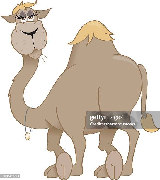 camel relaxing - shivering stock illustrations