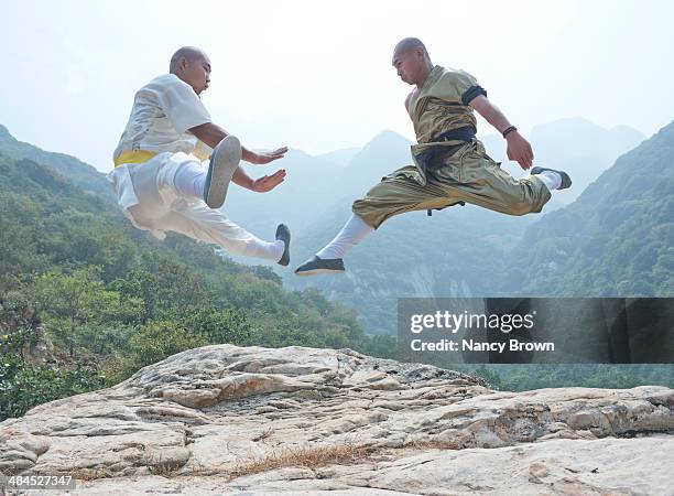 two kung fu experts on song mt. henan china. - shaolin monastery 個照片及圖片檔