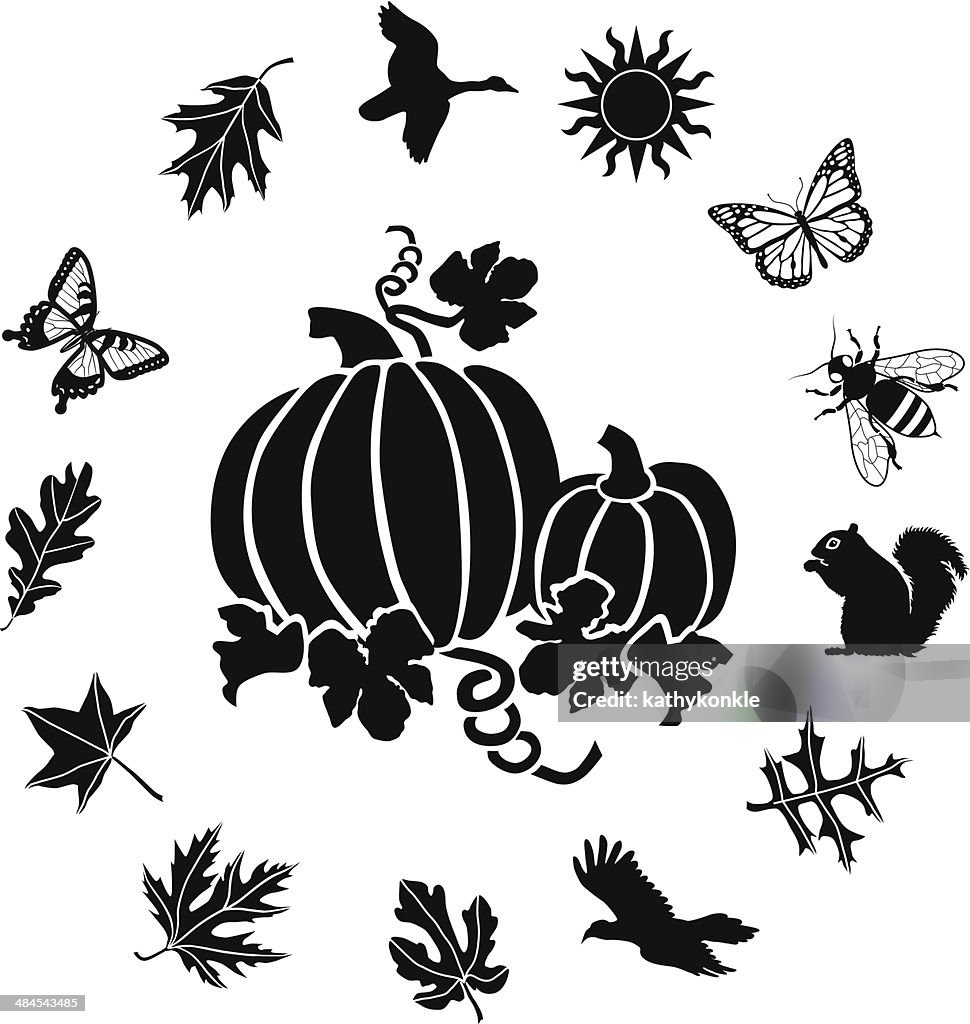 Pumpkins with an autumn ring border