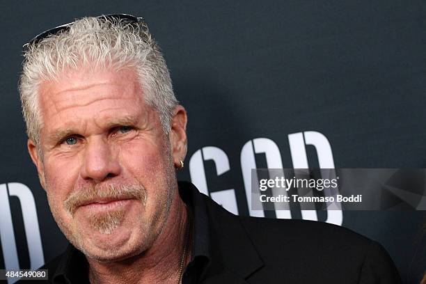Actor Ron Perlman attends the premiere of Amazon's series "Hand Of God" held at the Ace Theater Downtown LA on August 19, 2015 in Los Angeles,...