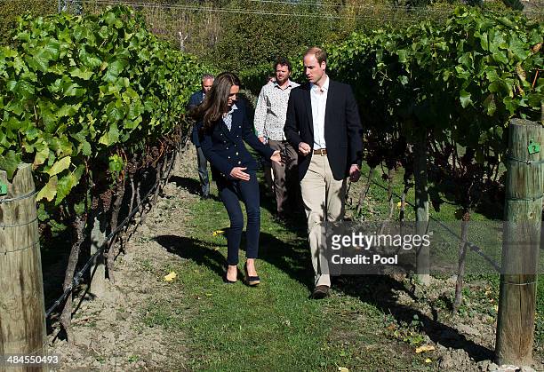 Catherine, Duchess of Cambridge stumbles as she walks through the vineyard with Prince William, Duke of Cambridge visit the Amisfield Winery on April...