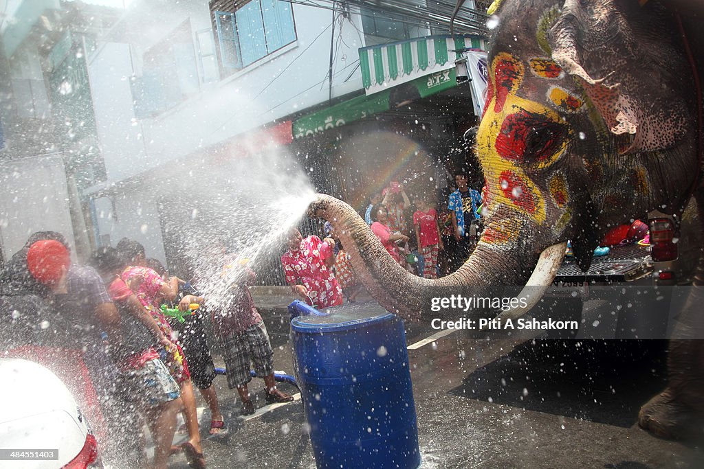 Elephants, Soap & Water - Thailand's Songkran Festival
