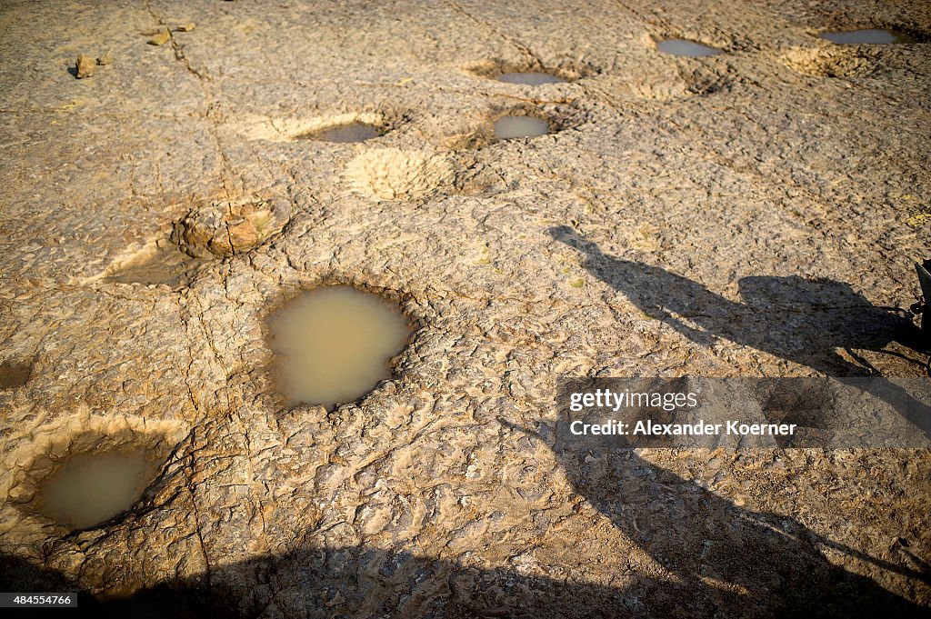 Archaeologists Discover 90 Dinosaur Footprints