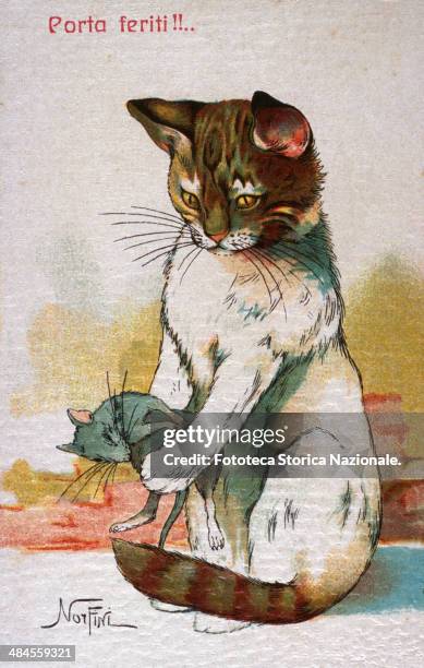 Transporting the wounded!!... Postcard which with humor liken to the cat and mouse as two enemies in the war, Chromolithography on a drawing by...