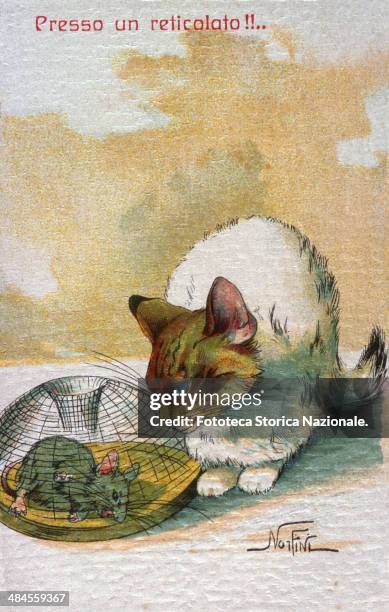 Close to the wire netting!!, Postcard which with humor liken to the cat and mouse as two enemies in the war, Chromolithography on a drawing by...