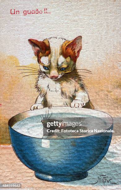 Ford!!... Postcard which with humor liken to the cat and mouse as two enemies in the war, Chromolithography from a drawing by NorFini, Italy, 1915...