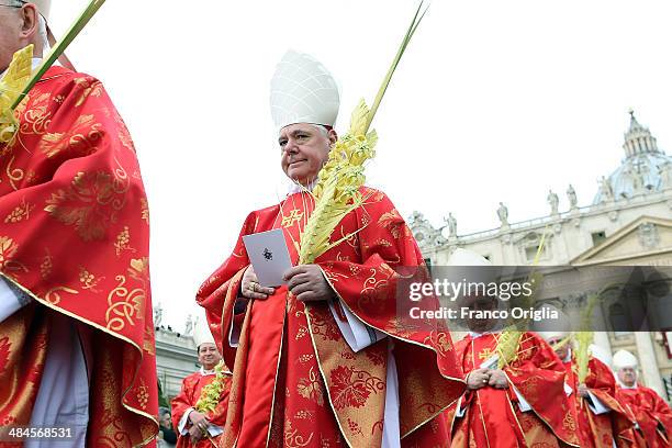 German Cardinal Gerhard Ludwig Muller attends Palm Sunday Mass celebrated by Pope Francis at St. Peter's Square on April 13, 2014 in Vatican City,...