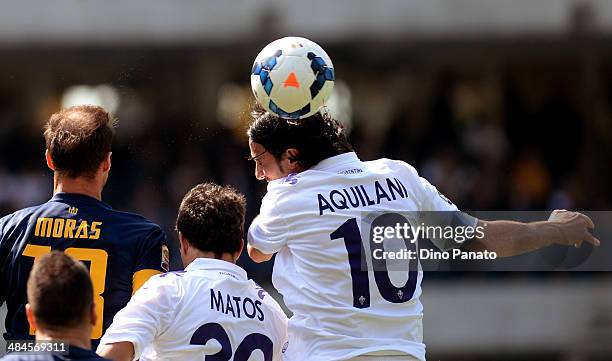 Evangelos Moras of Hellas Verona battles for an aerial ball Ryder Santos Matos and Alberto Aquilaniof ACF Fiorentina during the Serie A match between...