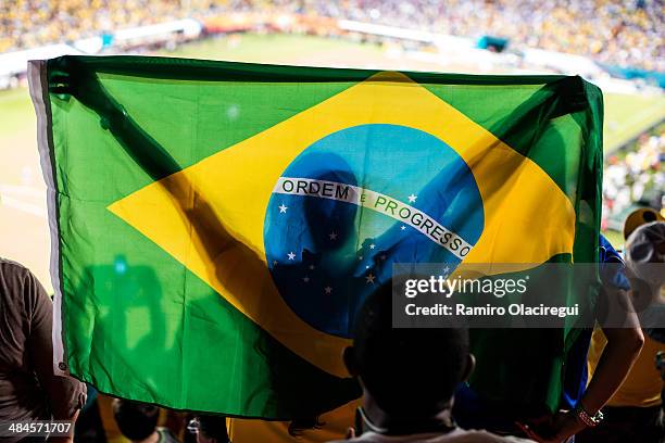 brazil fan at stadium, soccer - stadion san paolo stock pictures, royalty-free photos & images