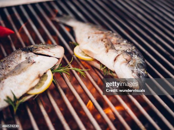 fisch grillen sie auf der barbecue mit zitrone scheiben und rosmarin - vom holzkohlengrill stock-fotos und bilder