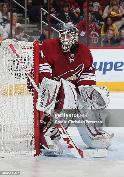 Goaltender Mark Visentin of the Phoenix Coyotes in action during the NHL game against the San Jose Sharks at Jobing.com Arena on April 12, 2014 in...