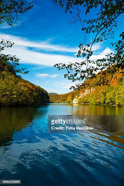view of plitvice lakes national park - plitvicka jezera croatia 個照片及圖片檔