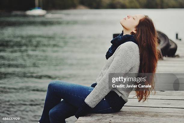 un muelle lejano - villa-la-angostura stockfoto's en -beelden