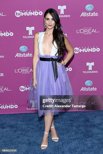 Alexandra Pomales arrives at Telemundo's "Premios Tu Mundo Awards" at American Airlines Arena on August 20, 2015 in Miami, Florida.