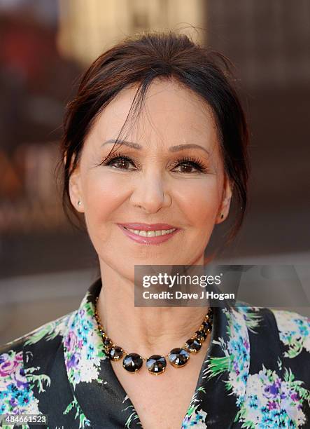 Arlene Phillips attends the Laurence Olivier Awards at the Royal Opera House on April 13, 2014 in London, England.