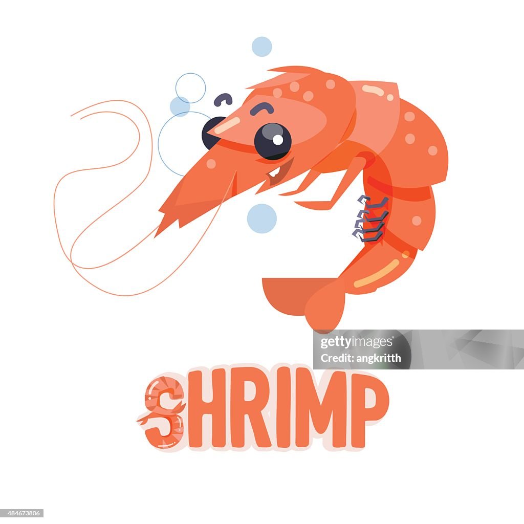 Shrimp Character With Letters Design Vector High-Res Vector Graphic ...