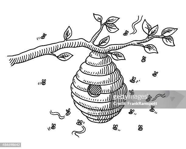 ilustraciones, imágenes clip art, dibujos animados e iconos de stock de beehive en rama dibujo - colmena