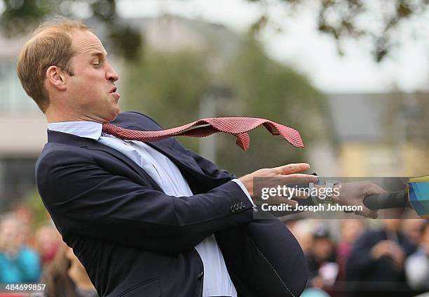 Prince William, Duke of Cambridge reacts to a high delivery while batting during a game of cricket during the countdown to the 2015 ICC Cricket World...