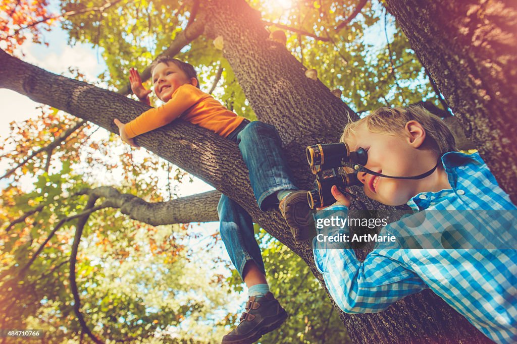 Kinder auf dem Baum im Herbst