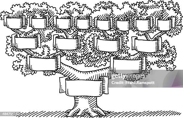 family tree blank banners drawing - genealogy stock illustrations