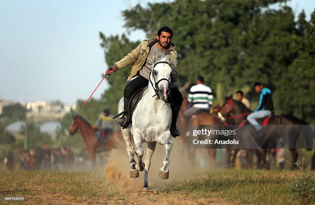 Horse and Camel Race in Gaza