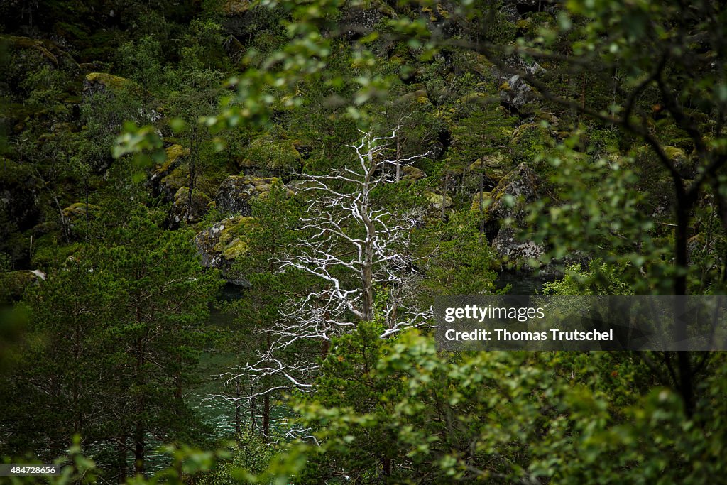 Norways Landscape