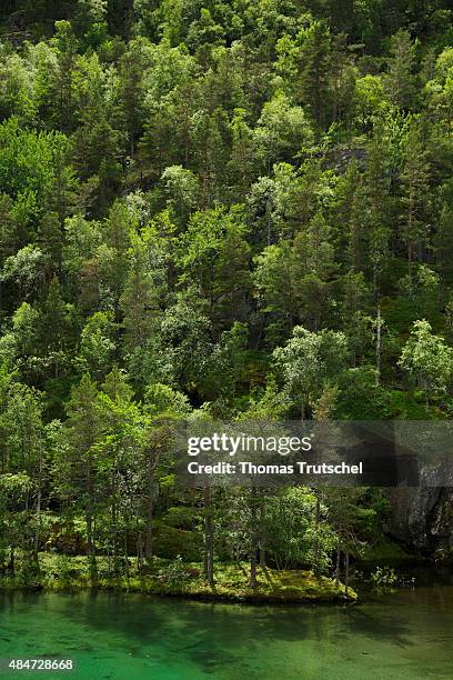 Kinsarvik, Norway Dark green lake with mixed forest close to Kinsarvik at the national park of Hardangervidda on July 16, 2015 in Kinsarvik, Norway.