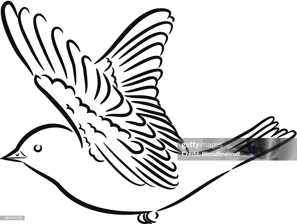 Simple Cartoon Bird High-Res Vector Graphic - Getty Images