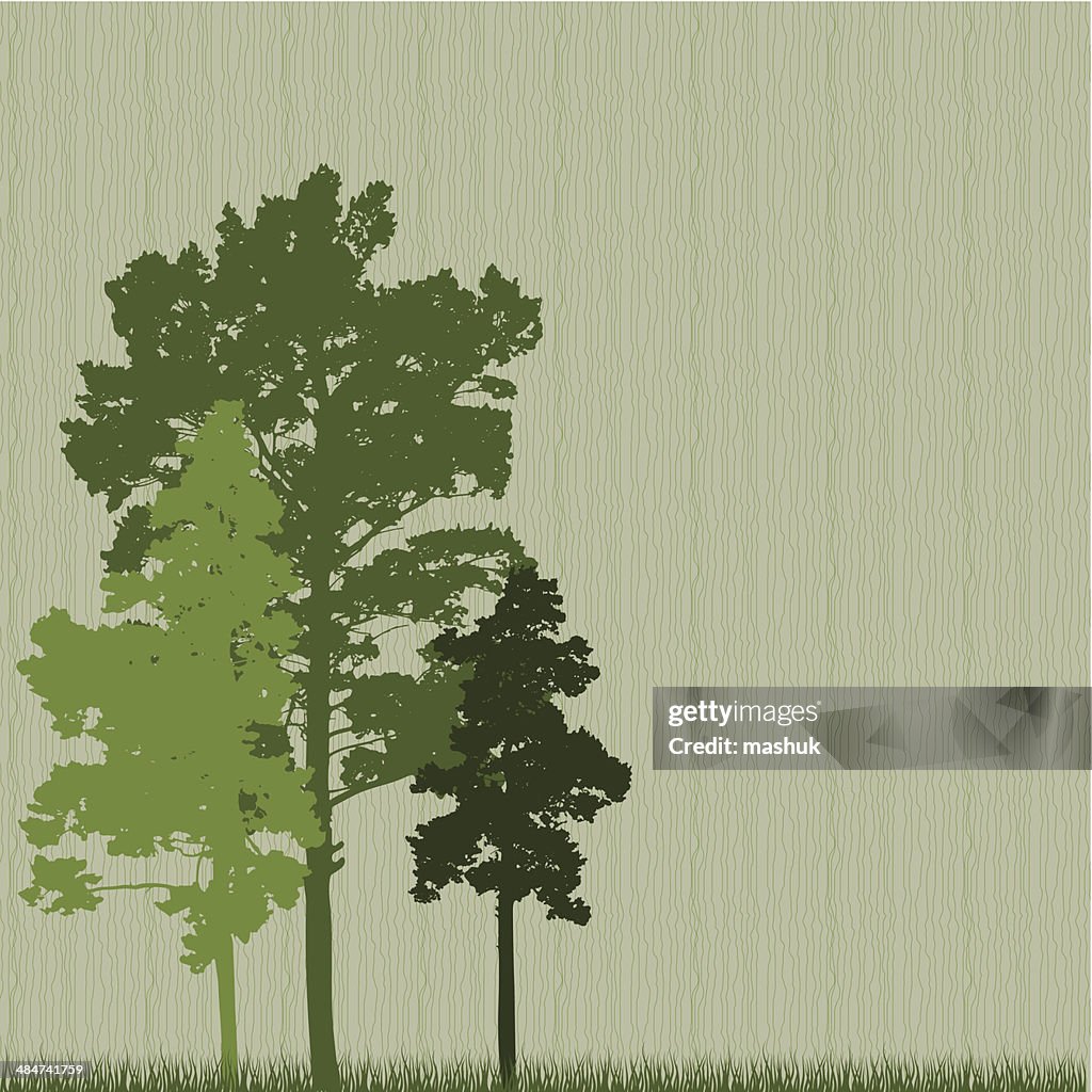 Floresta