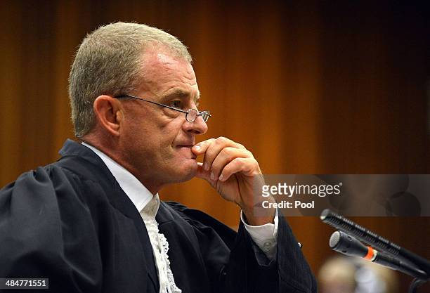 State prosecutor Gerrie Nel questions Oscar Pistorius during cross examination in the Pretoria High Court on April 14 in Pretoria, South Africa....