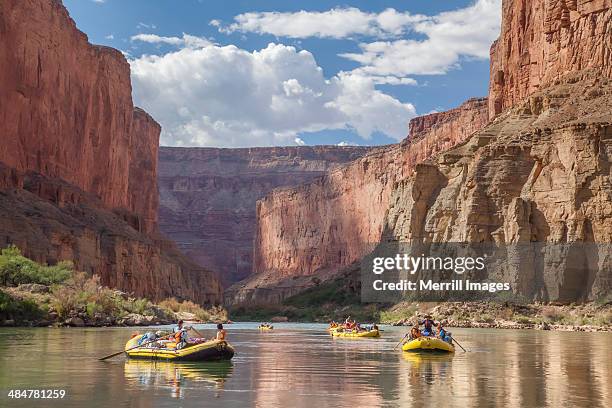 whitewater rafting on colorado river grand canyon - whitewater rafting stock-fotos und bilder