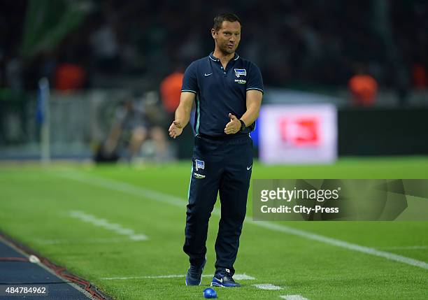 Coach Pal Dardai of Hertha BSC during the game between Hertha BSC and Werder Bremen on August 21, 2015 in Berlin, Germany.