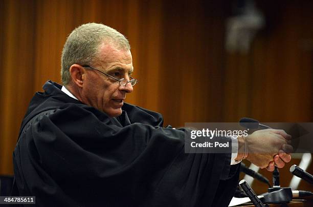 State prosecutor Gerrie Nel questions Oscar Pistorius during cross examination in Pretoria High Court on April 14, 2014 in Pretoria, South Africa....