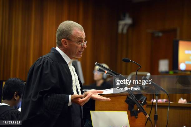 State prosecutor Gerrie Nel questions Oscar Pistorius during cross examination in Pretoria High Court on April 14, 2014 in Pretoria, South Africa....