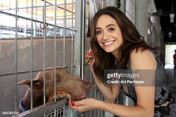 Actress Emmy Rossum partners with Windows 10 and Best Friends Animal Society as part of Upgrade Your World on August 21, 2015 in Los Angeles,...