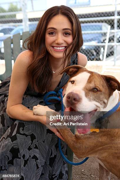 Actress Emmy Rossum partners with Windows 10 and Best Friends Animal Society as part of Upgrade Your World on August 21, 2015 in Los Angeles,...