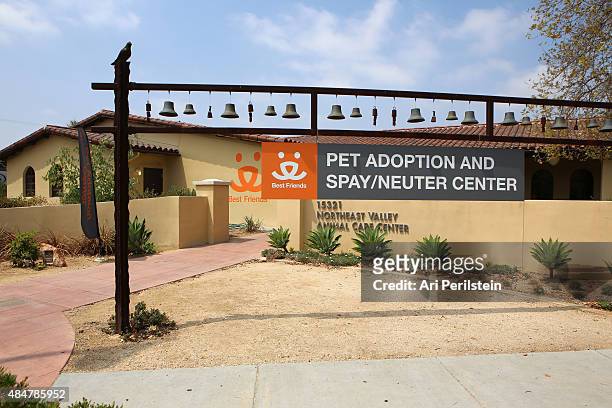 General view of the atmosphere is seen at Best Friends Animal Society as part of Windows 10 Upgrade Your World on August 21, 2015 in Los Angeles,...
