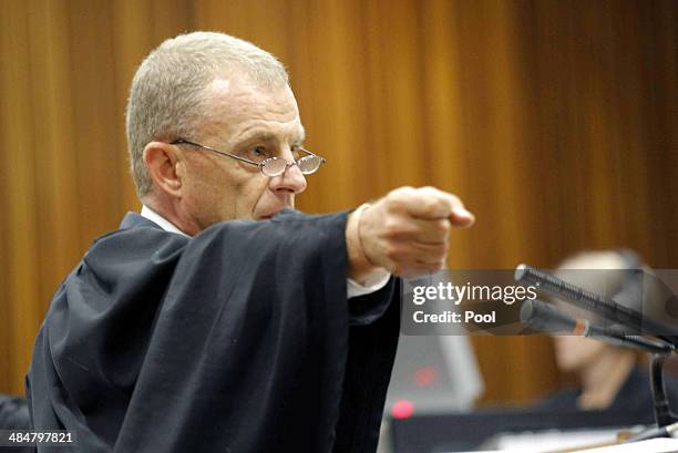 State prosecutor Gerrie Nel questions Oscar Pistorius during cross examination in the Pretoria High Court on April 14 in Pretoria, South Africa....