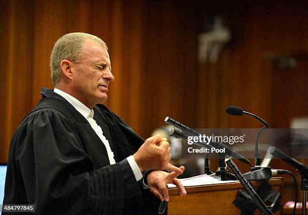 State prosecutor Gerrie Nel questions Oscar Pistorius during cross examination in the Pretoria High Court on April 14 in Pretoria, South Africa....