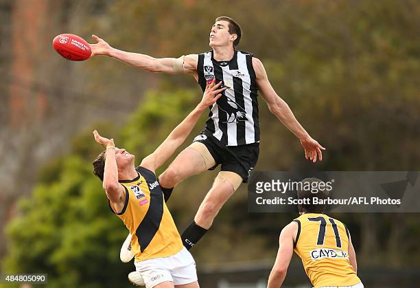 Mason Cox of Collingwood competes for the ball during the round 19 VFL match between Collingwood and Richmond at Victoria Park on August 22, 2015 in...
