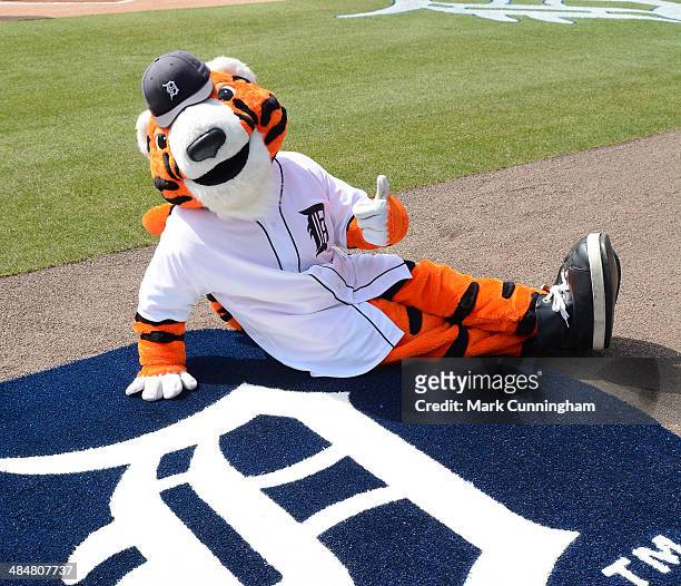428 Detroit Tigers Paws Stock Photos, High-Res Pictures, and