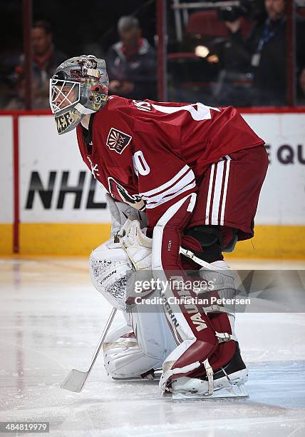 Goaltender Mark Visentin of the Phoenix Coyotes in action during the NHL game against the San Jose Sharks at Jobing.com Arena on April 12, 2014 in...