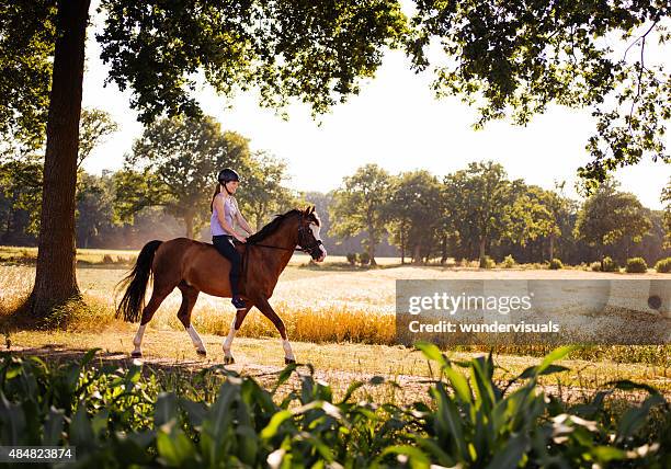 girl trotting on her horse along a picturesque lane - equestrian helmet stock pictures, royalty-free photos & images