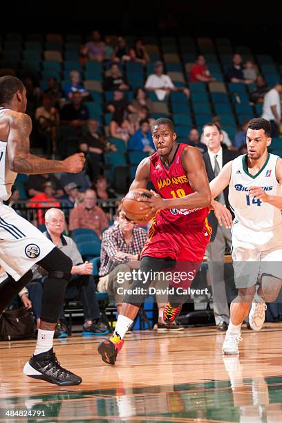 Tony Mitchell of the Fort Wayne Mad Ants dribbles into the key against the Reno Bighorns on April 11, 2014 at the Reno Events Center in Reno, Nevada....