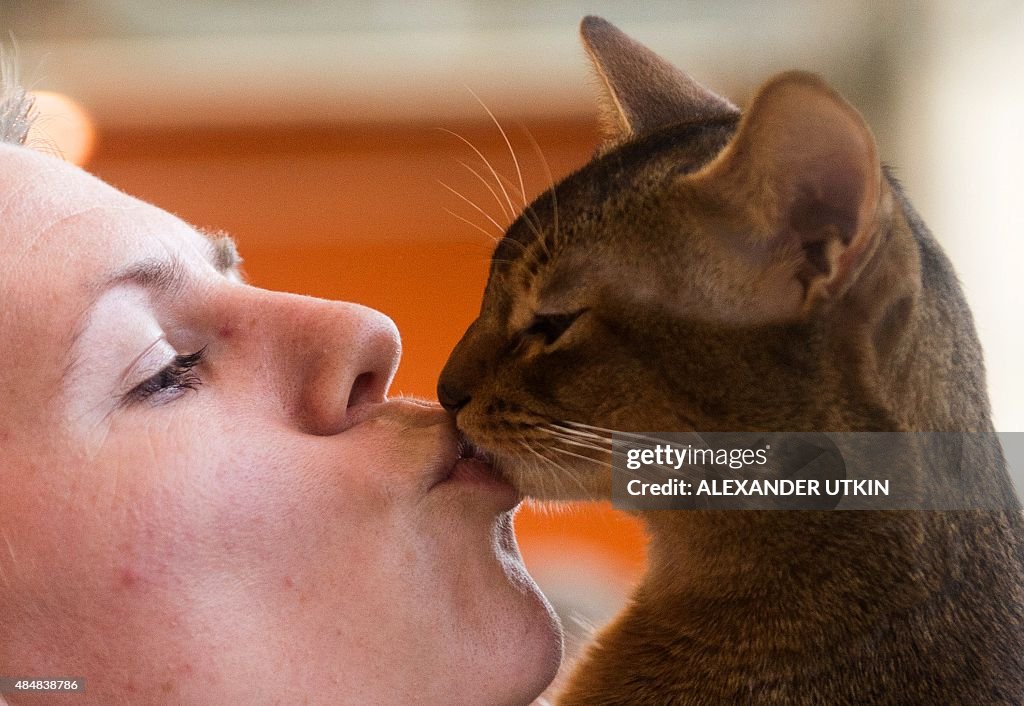 RUSSIA-CAT-EXHIBITION