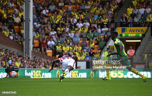 Mame Biram Diouf of Stoke City scores his team's first goal during the Barclays Premier League match between Norwich City and Stoke City at Carrow...